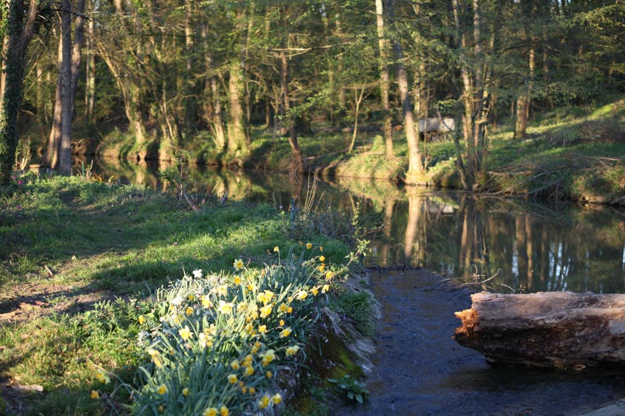 Fleurs De Brenne Gite Neuille-le-Lierre Экстерьер фото