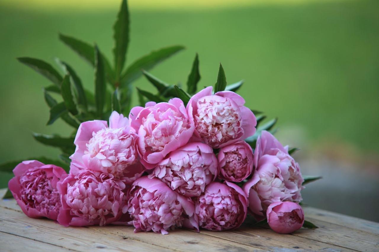 Fleurs De Brenne Gite Neuille-le-Lierre Экстерьер фото