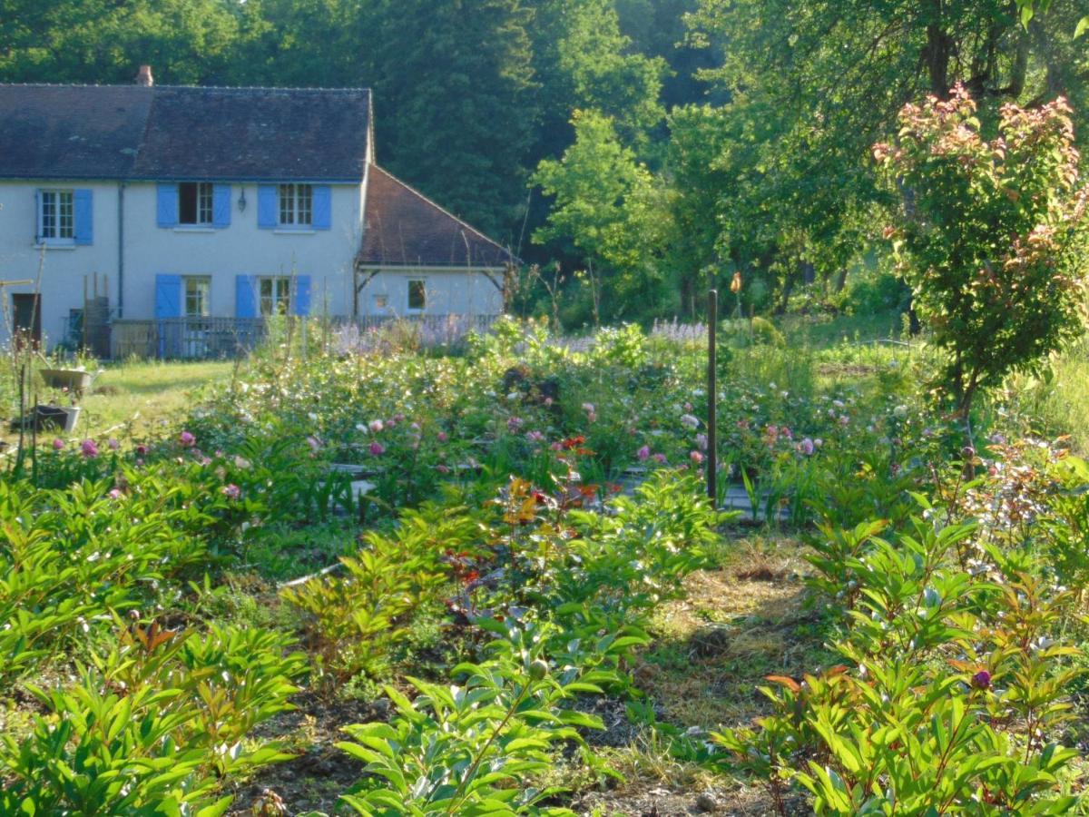 Fleurs De Brenne Gite Neuille-le-Lierre Экстерьер фото